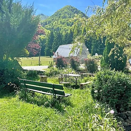 La Baleine Blanche - Auberge de jeunesse